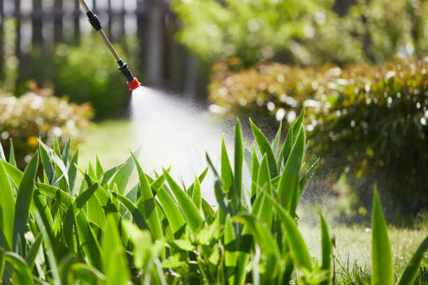 24/7 Emergency Mosquito Control experts in Los Altos, CA