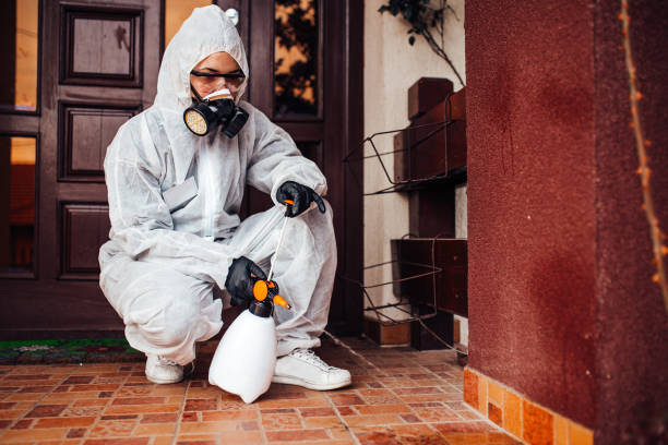 Reliable Mosquito Control contractor in Los Altos, CA by Show Me Pest Control
